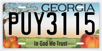 GA license plate PUY3115