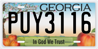 GA license plate PUY3116
