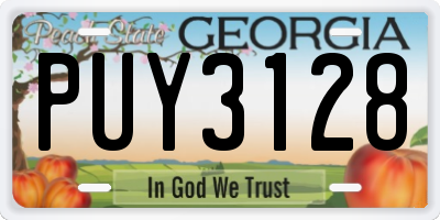 GA license plate PUY3128