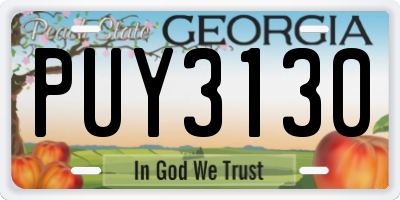 GA license plate PUY3130