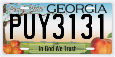 GA license plate PUY3131