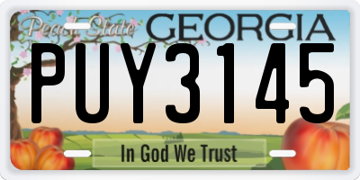 GA license plate PUY3145