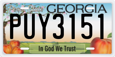 GA license plate PUY3151
