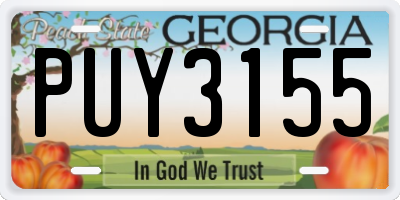 GA license plate PUY3155