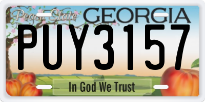 GA license plate PUY3157