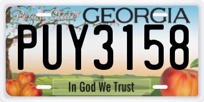 GA license plate PUY3158