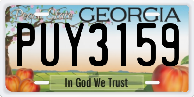 GA license plate PUY3159