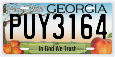 GA license plate PUY3164