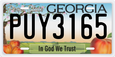GA license plate PUY3165