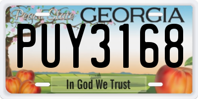 GA license plate PUY3168