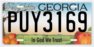 GA license plate PUY3169