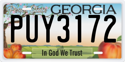 GA license plate PUY3172