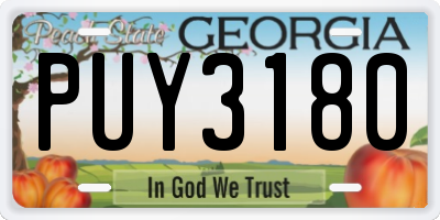 GA license plate PUY3180
