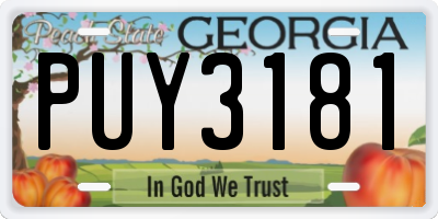 GA license plate PUY3181