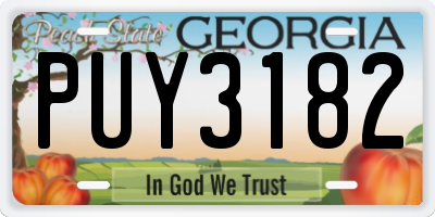 GA license plate PUY3182