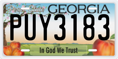 GA license plate PUY3183