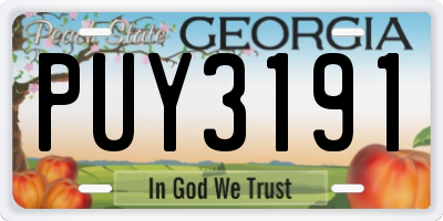 GA license plate PUY3191