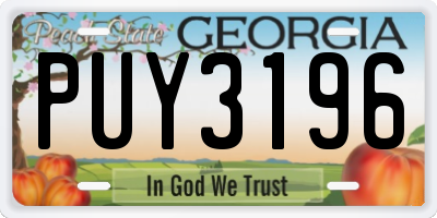 GA license plate PUY3196