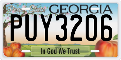 GA license plate PUY3206