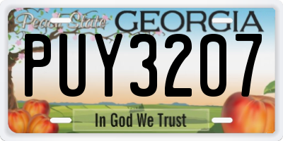 GA license plate PUY3207