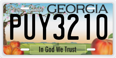 GA license plate PUY3210