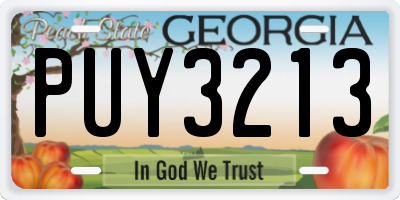 GA license plate PUY3213