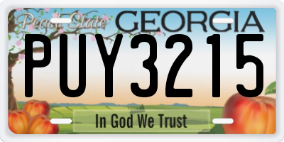GA license plate PUY3215