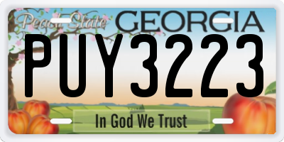 GA license plate PUY3223