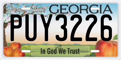 GA license plate PUY3226