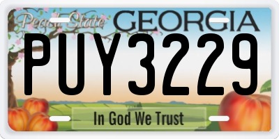 GA license plate PUY3229