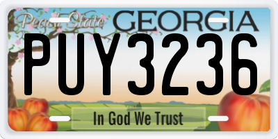 GA license plate PUY3236