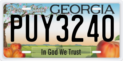 GA license plate PUY3240