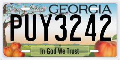 GA license plate PUY3242