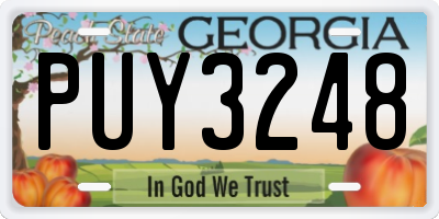 GA license plate PUY3248