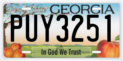 GA license plate PUY3251