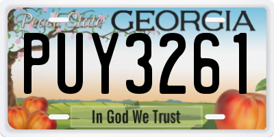 GA license plate PUY3261