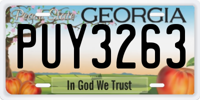 GA license plate PUY3263