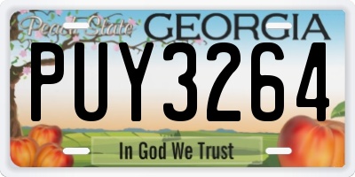 GA license plate PUY3264