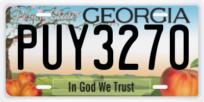 GA license plate PUY3270