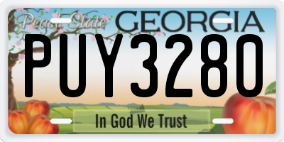 GA license plate PUY3280