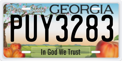 GA license plate PUY3283