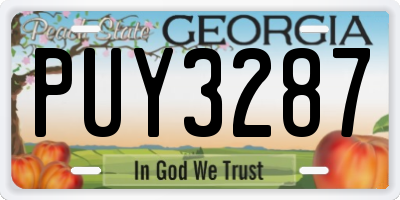 GA license plate PUY3287