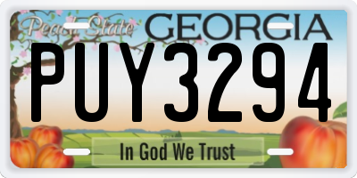 GA license plate PUY3294