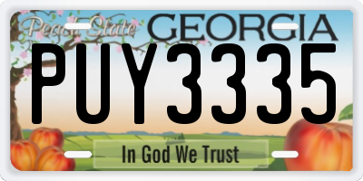GA license plate PUY3335