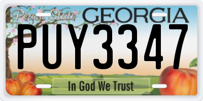 GA license plate PUY3347