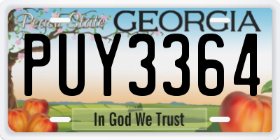 GA license plate PUY3364