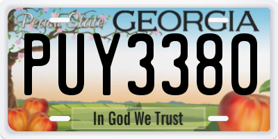 GA license plate PUY3380