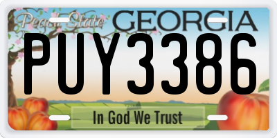 GA license plate PUY3386