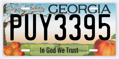 GA license plate PUY3395