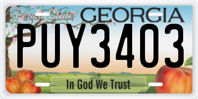 GA license plate PUY3403